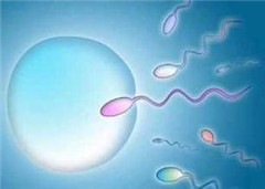 阳江专家介绍精子正常活力