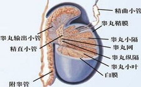 射精障碍