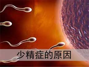 少精症的危害,<a class='link_keywords' href='http://www.yjrj120.com/'>阳江仁济医院</a>,少精症的影响 