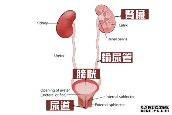（图片／亚东医院提供）
